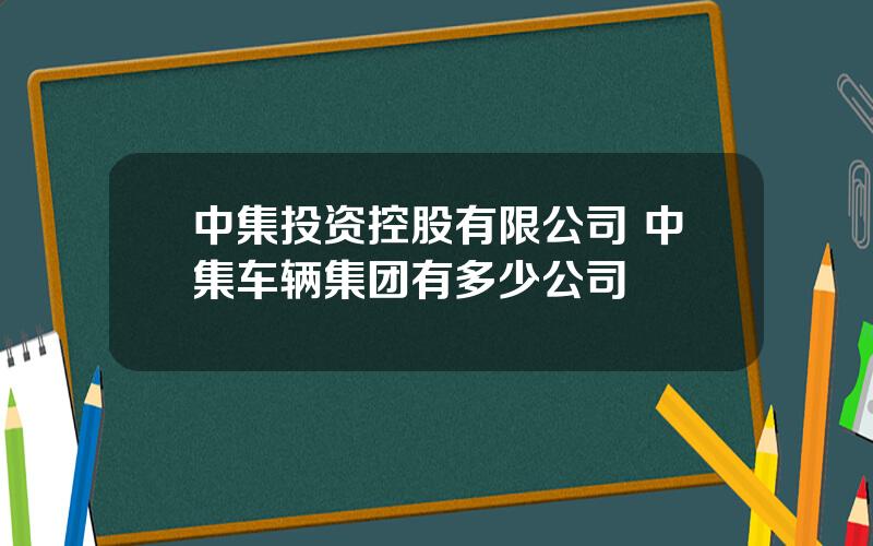 中集投资控股有限公司 中集车辆集团有多少公司